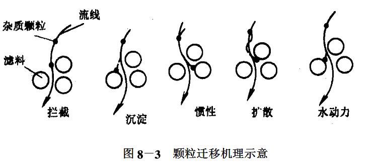 濾料遷移機理